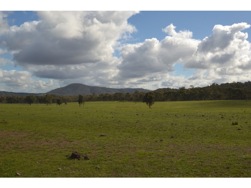 1245 Seymour-Tooborac Road, Hilldene VIC 3660