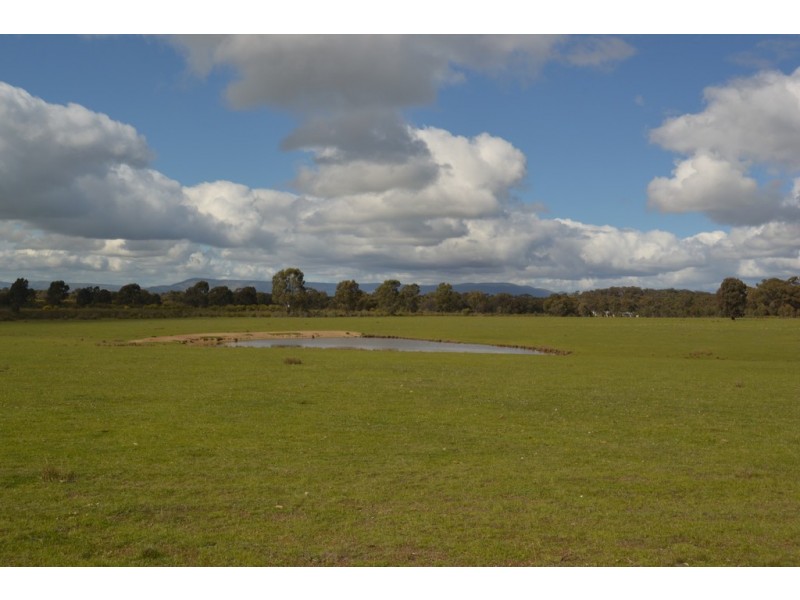 1245 Seymour-Tooborac Road, Hilldene VIC 3660