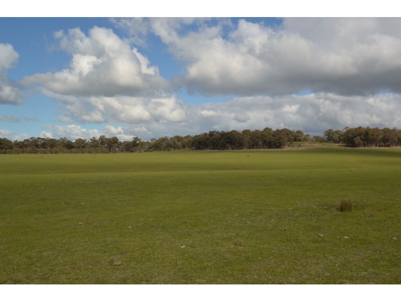 1245 Seymour-Tooborac Road, Hilldene VIC 3660