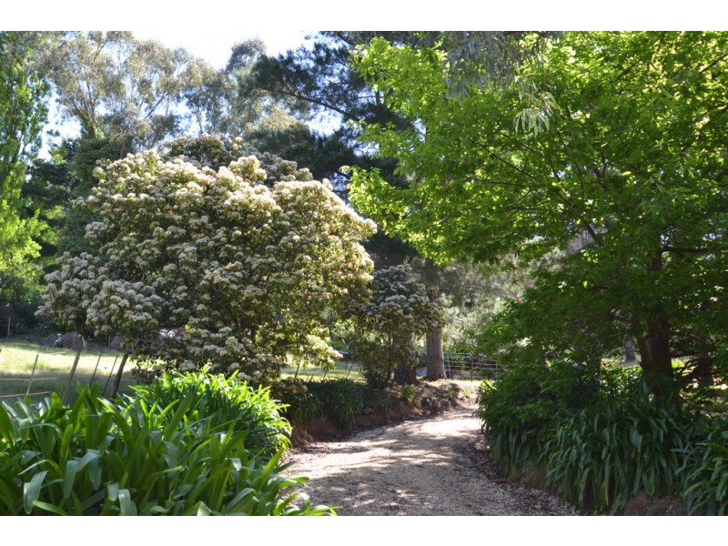 8365 Goulburn Valley Highway, Trawool VIC 3660