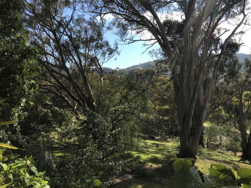 8365 Goulburn Valley Highway, Trawool VIC 3660