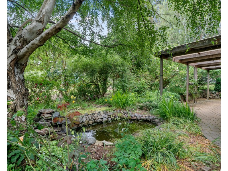 824 Ankers Road, Strathbogie VIC 3666