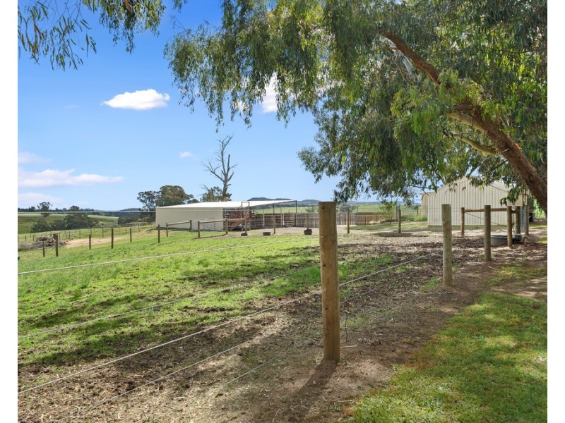 824 Ankers Road, Strathbogie VIC 3666