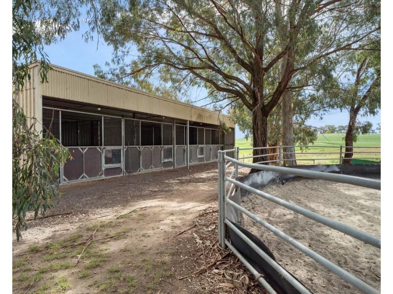 824 Ankers Road, Strathbogie VIC 3666