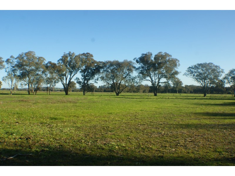 167 Halsalls Lane, Euroa VIC 3666