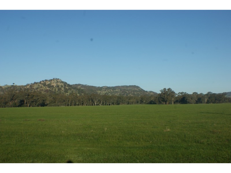167 Halsalls Lane, Euroa VIC 3666