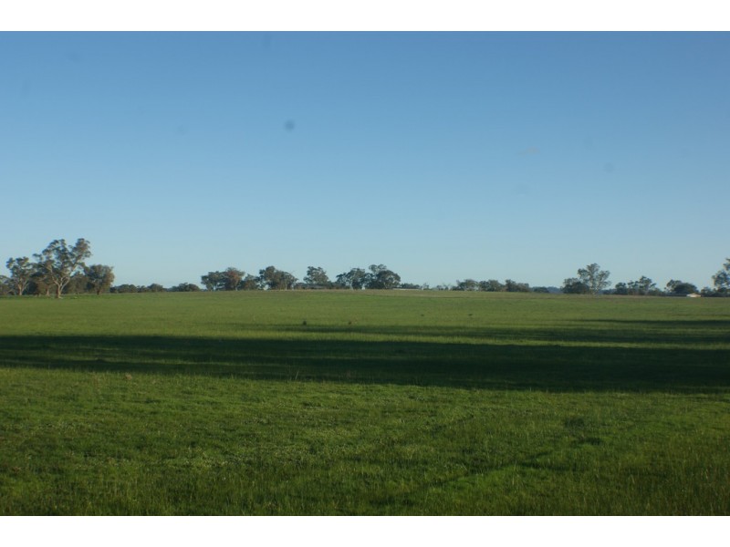 167 Halsalls Lane, Euroa VIC 3666