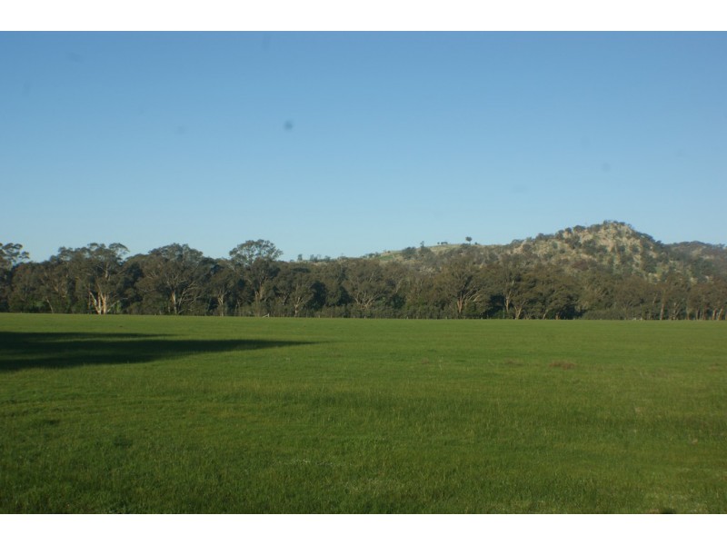 167 Halsalls Lane, Euroa VIC 3666