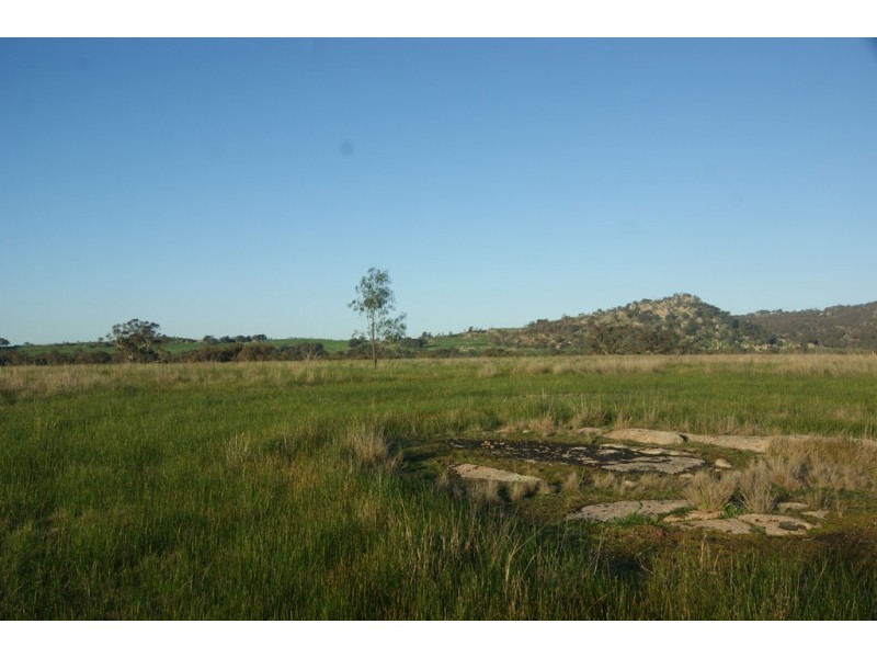 167 Halsalls Lane, Euroa VIC 3666