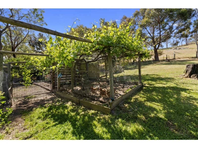 65 Wheelers Lane, Creightons Creek via, Euroa VIC 3666