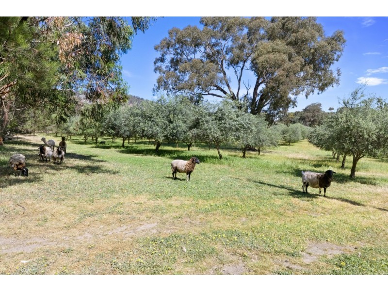 65 Wheelers Lane, Creightons Creek via, Euroa VIC 3666