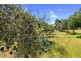 65 Wheelers Lane, Creightons Creek via, Euroa VIC 3666