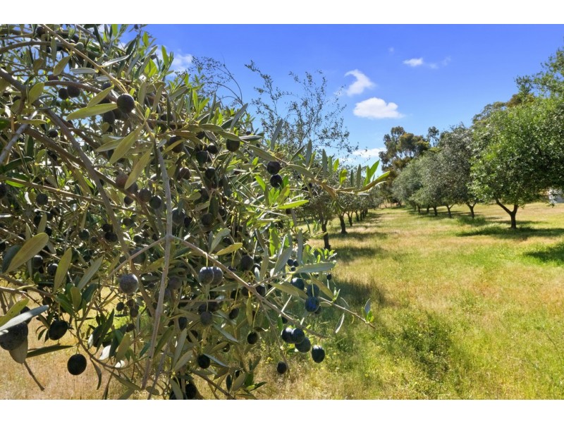 65 Wheelers Lane, Creightons Creek via, Euroa VIC 3666