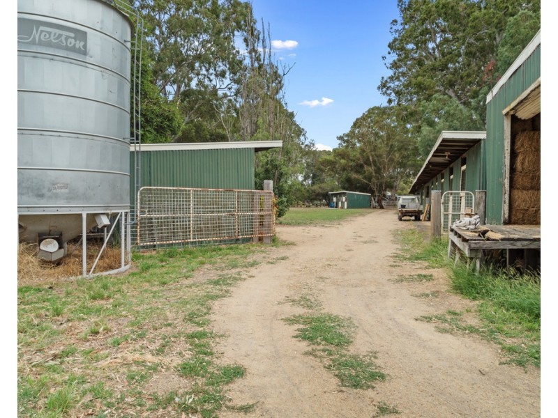 10 Dudley Road, Euroa VIC 3666