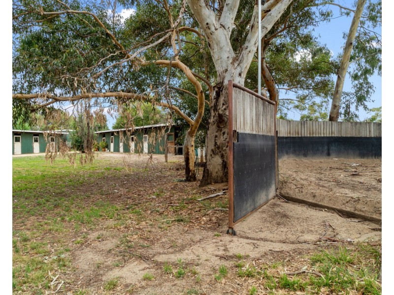 10 Dudley Road, Euroa VIC 3666