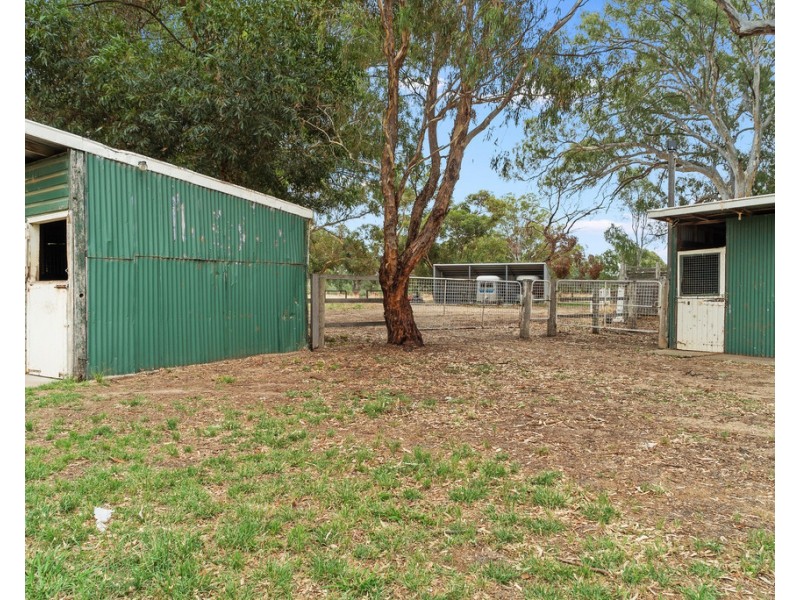 10 Dudley Road, Euroa VIC 3666