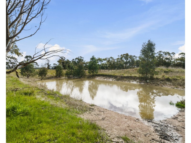 31 Tracey Court, Miepoll VIC 3666