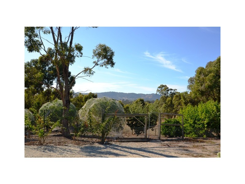 110 Dawe Rd, Seymour VIC 3660