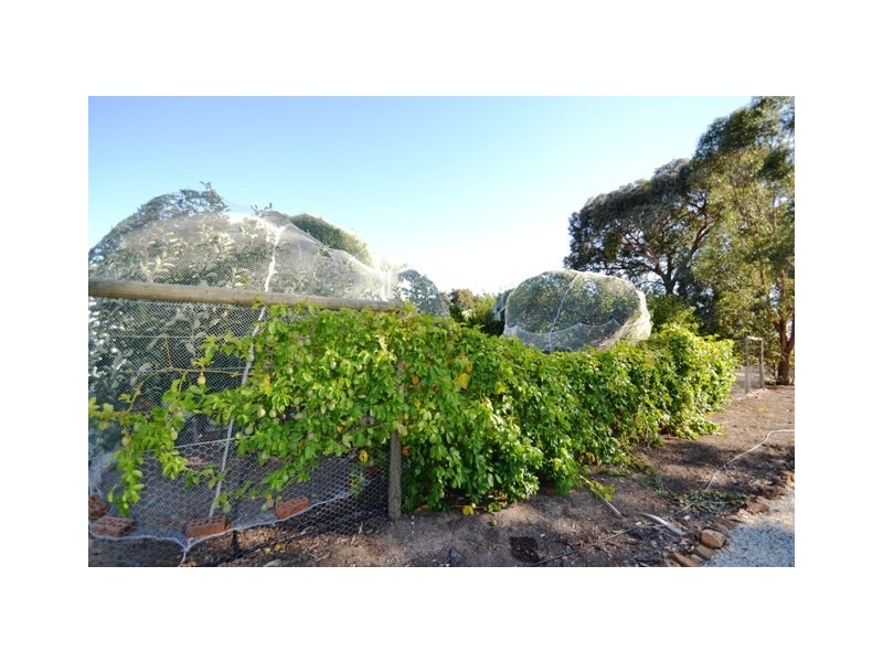 110 Dawe Rd, Seymour VIC 3660