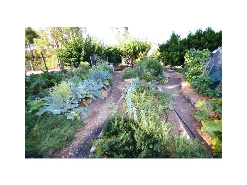 110 Dawe Rd, Seymour VIC 3660