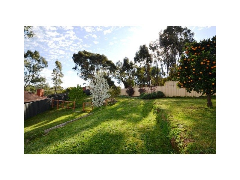 17 Hanley Crescent, Seymour VIC 3660