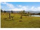 1323 Tarcombe Road, Avenel VIC 3664