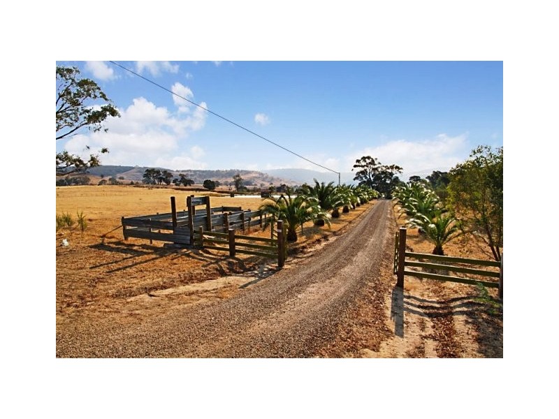 1323 Tarcombe Road, Avenel VIC 3664