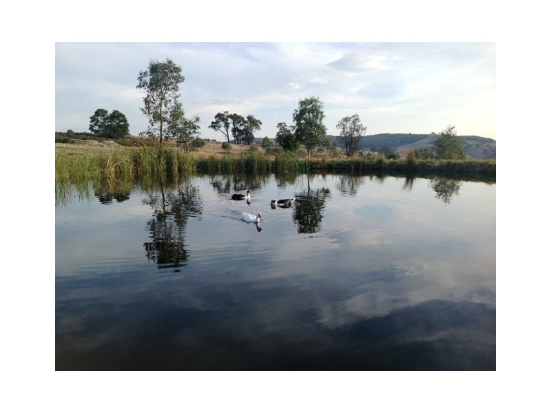 1323 Tarcombe Road, Avenel VIC 3664