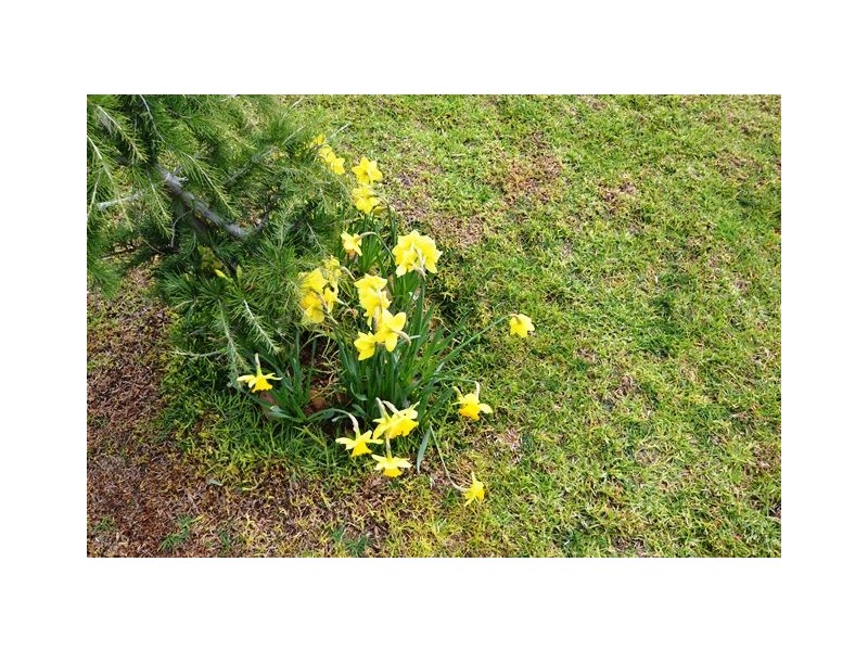 175 Ghin Ghin Road, Seymour VIC 3660