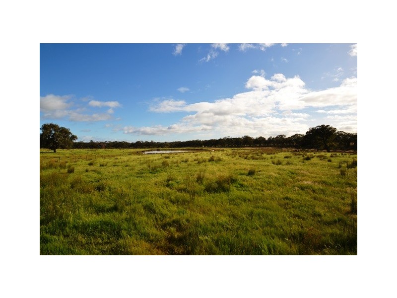 495 Ashes Bridge Road, Seymour VIC 3660