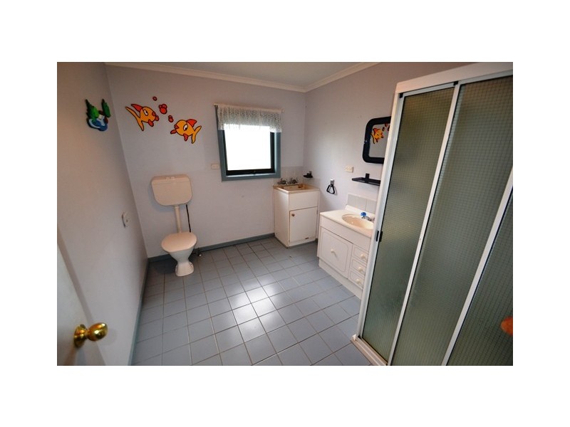 46 Delatite Road, Seymour VIC 3660