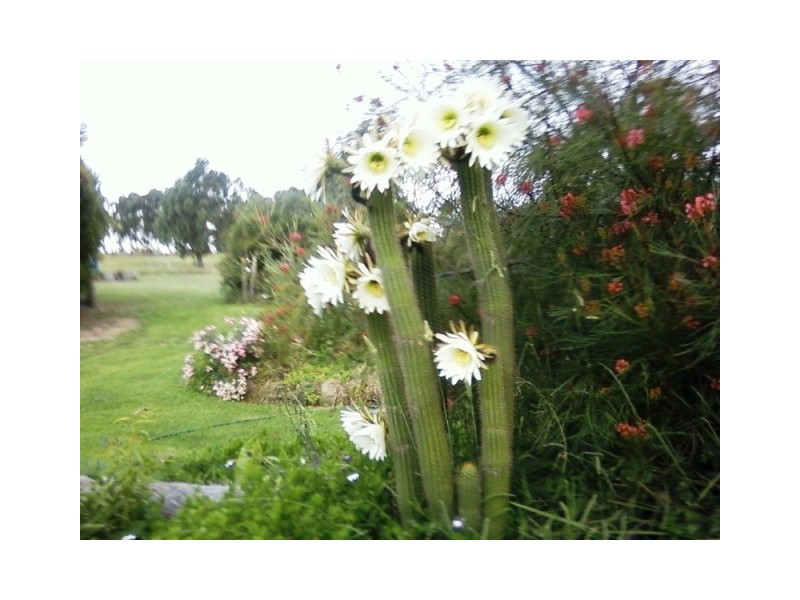 65 Heywoods Road, Seymour VIC 3660