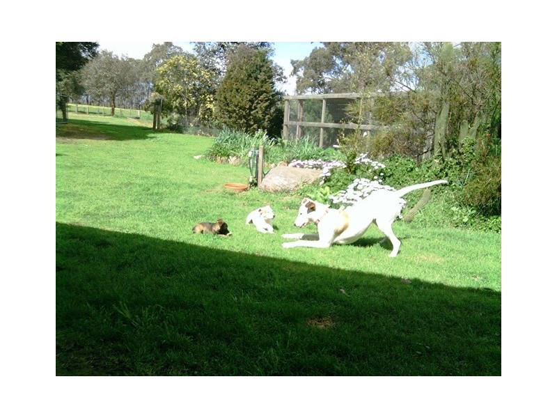 65 Heywoods Road, Seymour VIC 3660