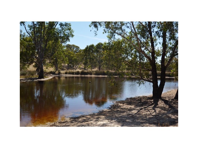 1030 Seymour Pyalong Rd, Tallarook VIC 3659