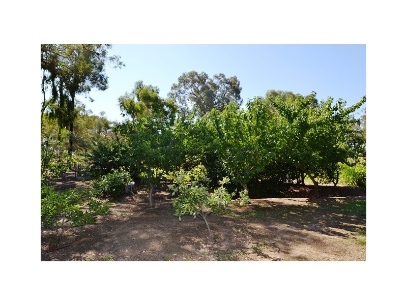 360 Highlands Road, Seymour VIC 3660