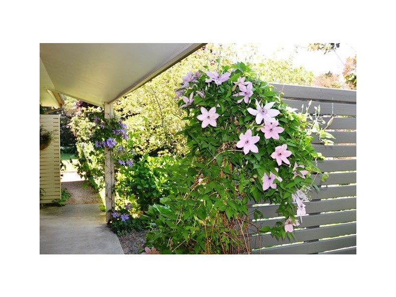 24 Watson Street, Avenel VIC 3664