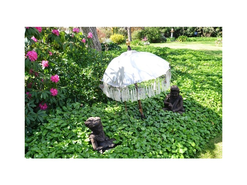 24 Watson Street, Avenel VIC 3664