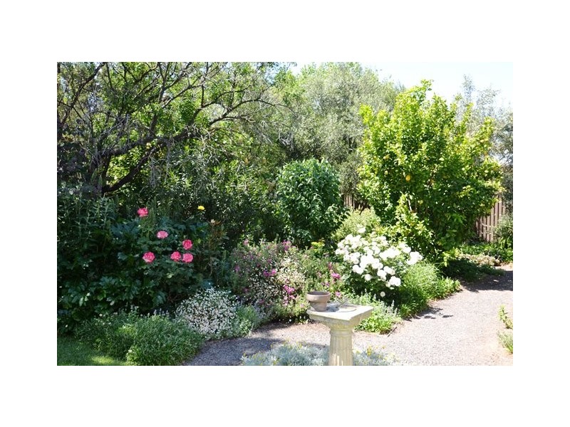 24 Watson Street, Avenel VIC 3664