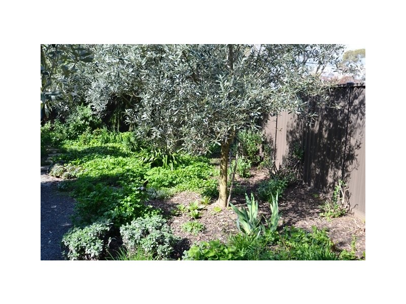 24 Watson Street, Avenel VIC 3664