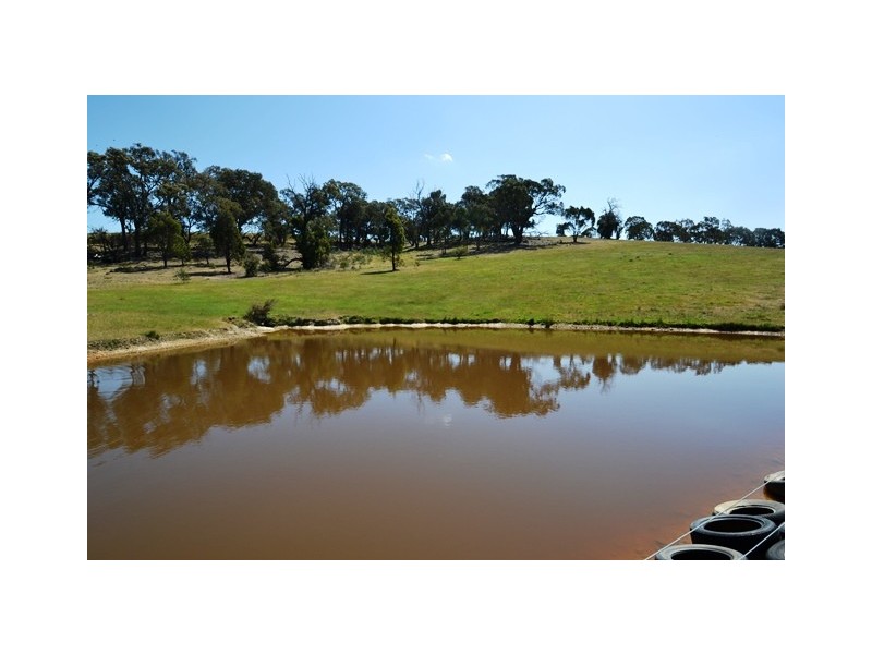 955 Seymour Pyalong Rd, Sugarloaf Creek VIC 3658