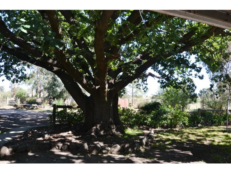 920 Kobyboyn Road, Seymour VIC 3660