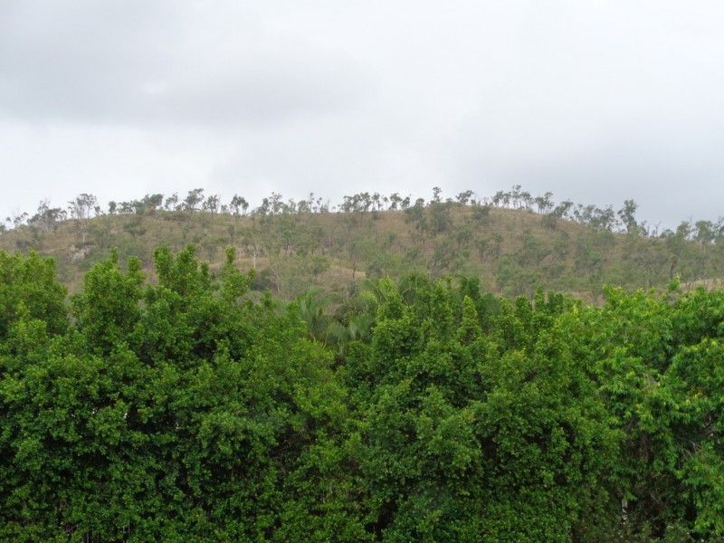 53 Crestbrook Drive, Mount Louisa QLD 4814