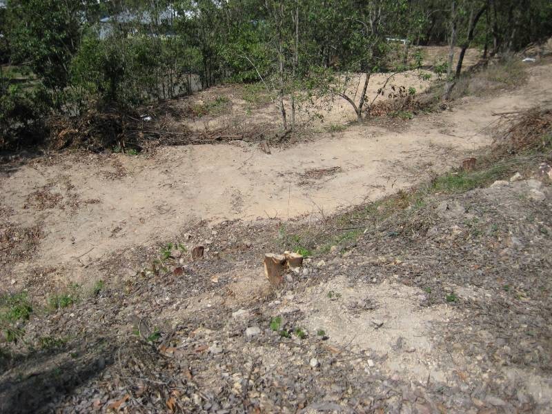 8 Saltwater Drive, Toomulla QLD 4816