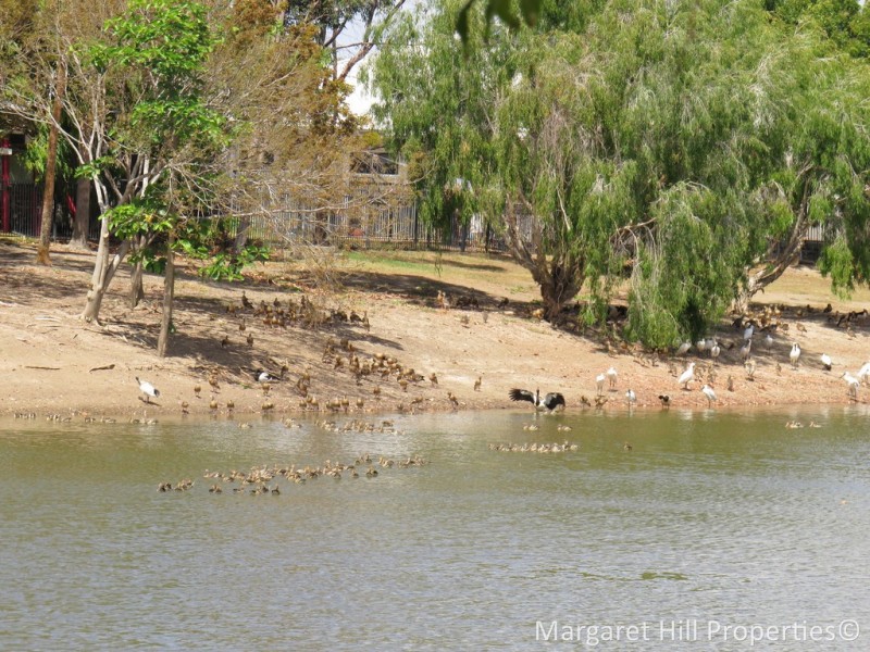 49 Lakeshore Circuit, Idalia QLD 4811