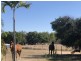 2830 Woodstock Giru Road, Majors Creek QLD 4816