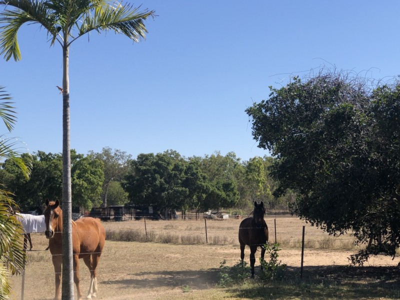2830 Woodstock Giru Road, Majors Creek QLD 4816