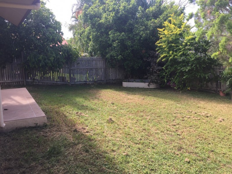 10 Honeyeater Circuit, Douglas QLD 4814