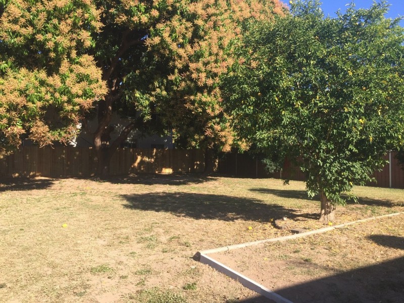 95 Bowen Road, Rosslea QLD 4812