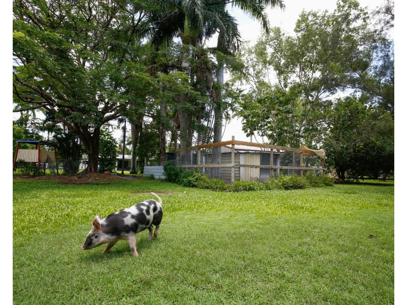 10 Gibraltar Road, Rangewood QLD 4817