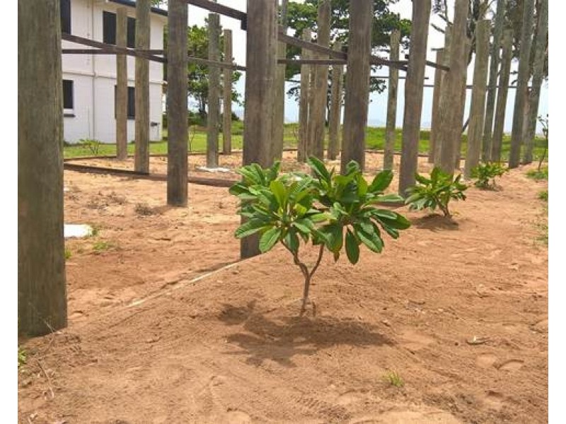 50 Luff Street, Hull Heads QLD 4854